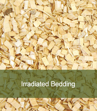 Irradiated Bedding